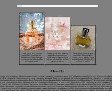 portfolio